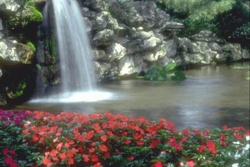 Wellness of Spirit