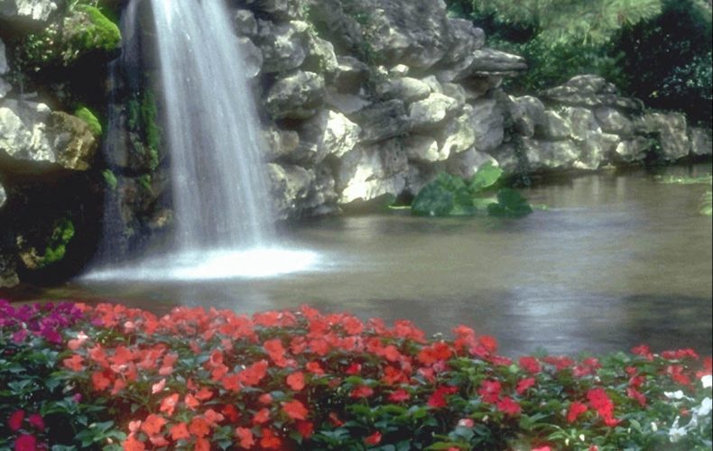 Wellness of Spirit