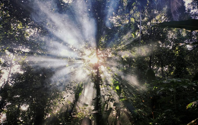 Wellness of Spirit